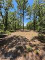 0 Bear Branch Drive - Photo 12