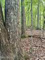 Tbd Lot 43 Pine Cove Lane - Photo 4
