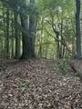 Tbd Lot 43 Pine Cove Lane - Photo 8