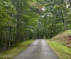 Tbd Lot 43 Pine Cove Lane - Photo 9