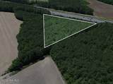 4.47 Ac Purdie Matthews Road - Photo 14