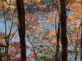 Lot#26 Lakeshore Drive - Photo 4