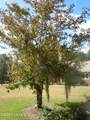 78 Aj Lane - Photo 103