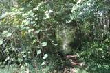 419 Cannons Ferry Road - Photo 22