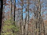TBD Ashe Knob Drive - Photo 4