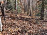 TBD Ashe Knob Drive - Photo 5