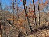 TBD Ashe Knob Drive - Photo 7