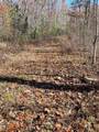 TBD Ashe Knob Drive - Photo 9