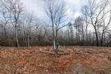 Lot 120 Serene Pond Trail - Photo 3