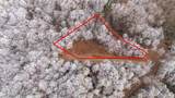 Lot 120 Serene Pond Trail - Photo 7