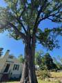 1739 Holly Hill Road - Photo 44