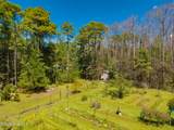 157 Jones Gut Drive - Photo 38