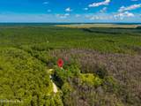 157 Jones Gut Drive - Photo 49