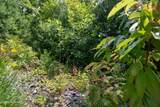 850 Bluff Road - Photo 20