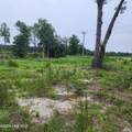 E1107 Eleven Farms Rd. Road - Photo 5