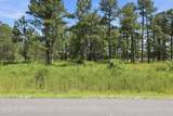247 Shell Castle Lane - Photo 3