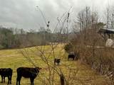 3754 Highway 68 S - Photo 7