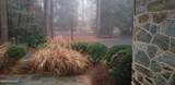 110 Highland Road - Photo 104