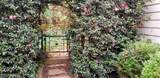 110 Highland Road - Photo 77