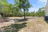2618 Brittle Star Circle - Photo 46