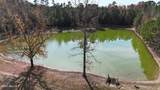 0 Fanny Brown Road - Photo 17