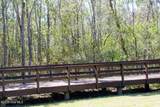 380 Blossom Tree Lane - Photo 50