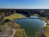 380 Blossom Tree Lane - Photo 59