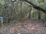6 Colonel William Rhett Trail - Photo 2