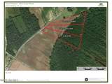 Lot 1 Wire Grass Road - Photo 5