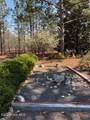 256 Shaver Lane - Photo 16