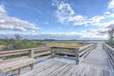 353 Landon Lane - Photo 23