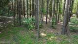 00 Cooper Branch Road - Photo 20