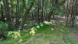 00 Cooper Branch Road - Photo 21