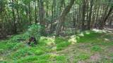 00 Cooper Branch Road - Photo 23