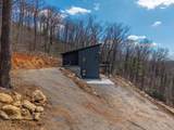 58 Mutt Ridge - Photo 36