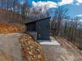 58 Mutt Ridge - Photo 37