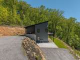 58 Mutt Ridge - Photo 6