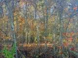 Lot 25 Hideaway Ridge Drive - Photo 2