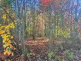 Lot 25 Hideaway Ridge Drive - Photo 4