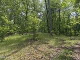 Multi Lots Black Fox Drive - Photo 10