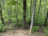 Multi Lots Black Fox Drive - Photo 12