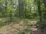 Multi Lots Black Fox Drive - Photo 15
