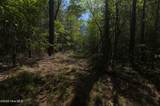0 Sr 1226 Road - Photo 29
