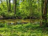 1209 Brices Creek Road - Photo 7