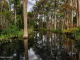 1209 Brices Creek Road - Photo 9