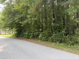 919 Mandarin Trail - Photo 2
