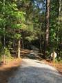 204 Roujon Trace - Photo 10