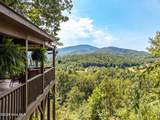 346 View Ridge Trail - Photo 1