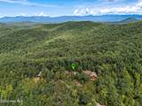 346 View Ridge Trail - Photo 47