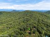 346 View Ridge Trail - Photo 48